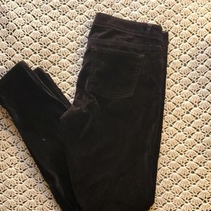 JLO Velvet Pants